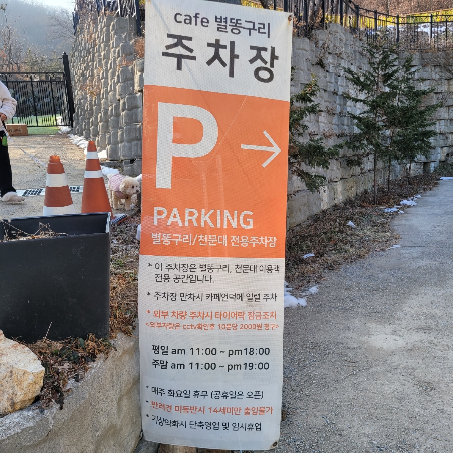 용인 별똥구리 애견카페: 넓은 운동장과 고기리 뷰 만끽 — 사진 5
