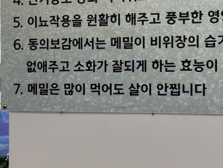 시골막국수옹심이수제비 광양점 사진 3