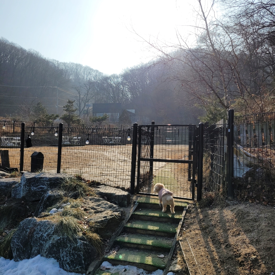 용인 별똥구리 애견카페: 넓은 운동장과 고기리 뷰 만끽 — 사진 12