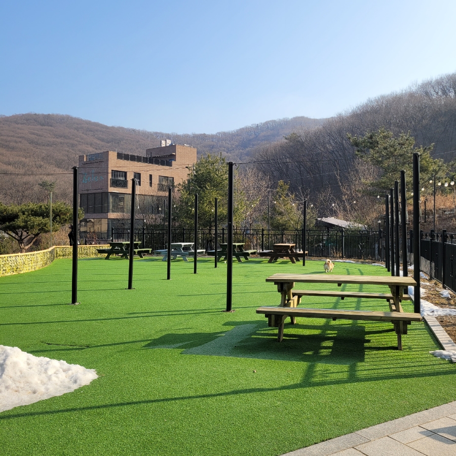 용인 별똥구리 애견카페: 넓은 운동장과 고기리 뷰 만끽 — 사진 15
