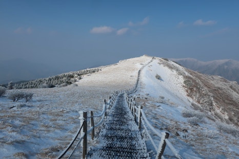 소백산국립공원 어의곡코스 이미지