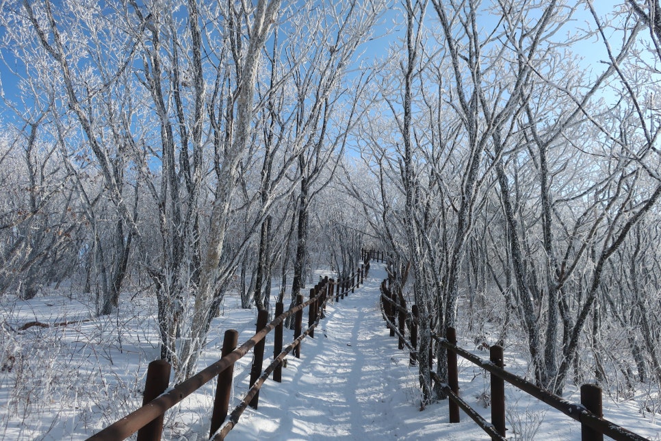 소백산국립공원 어의곡코스 이미지