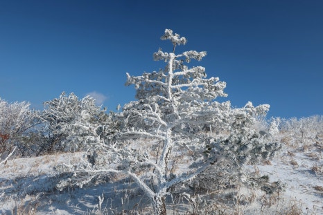 소백산국립공원 어의곡코스 이미지