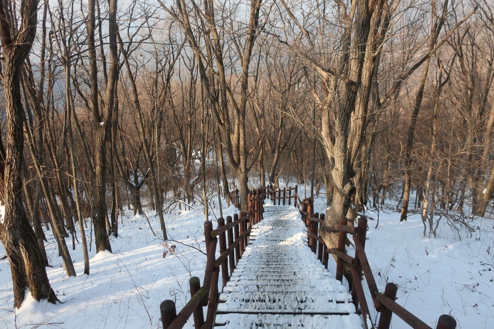 소백산국립공원 어의곡코스 이미지