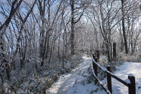 소백산국립공원 어의곡코스 이미지
