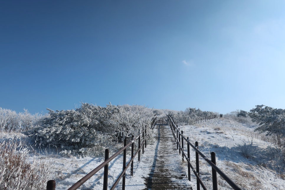소백산국립공원 어의곡코스 이미지