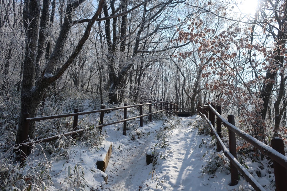 소백산국립공원 어의곡코스 이미지