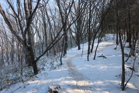 소백산국립공원 어의곡코스 이미지