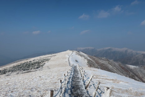 소백산국립공원 어의곡코스 이미지