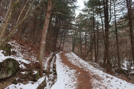 소백산국립공원 어의곡코스 이미지