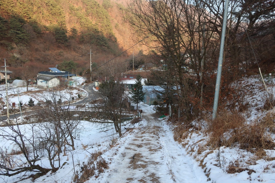 소백산국립공원 어의곡코스 이미지