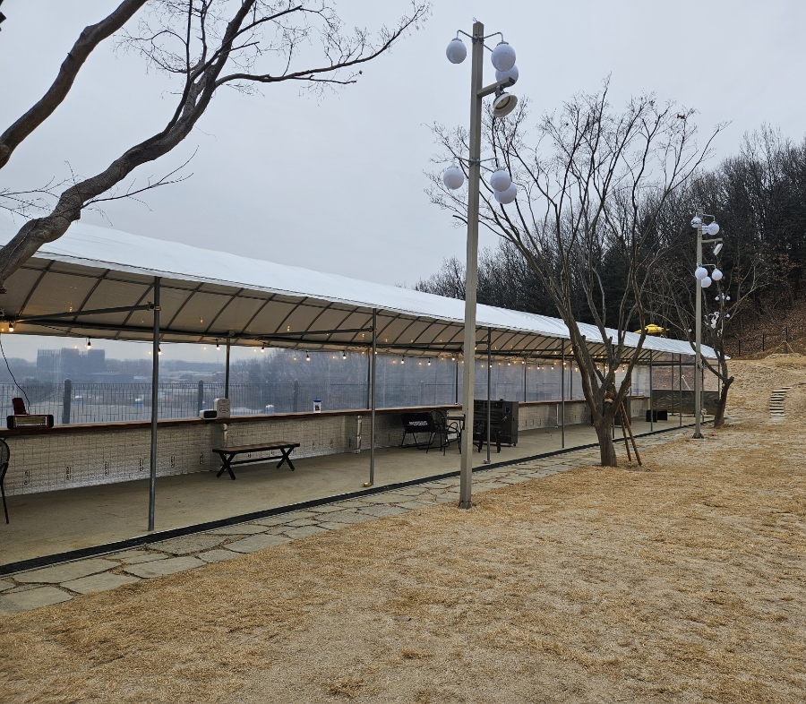 파주 애견카페 슈베르몽, 강아지 운동장 후기 — 사진 5