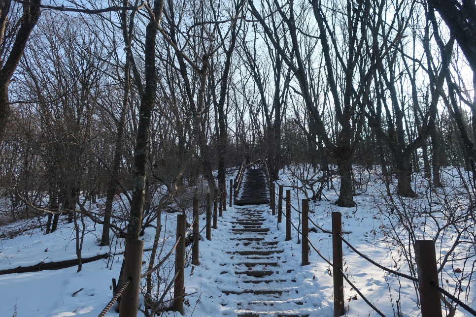 소백산국립공원 어의곡코스 이미지