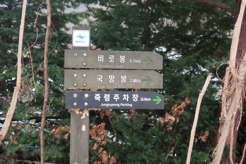 소백산국립공원 어의곡코스 이미지