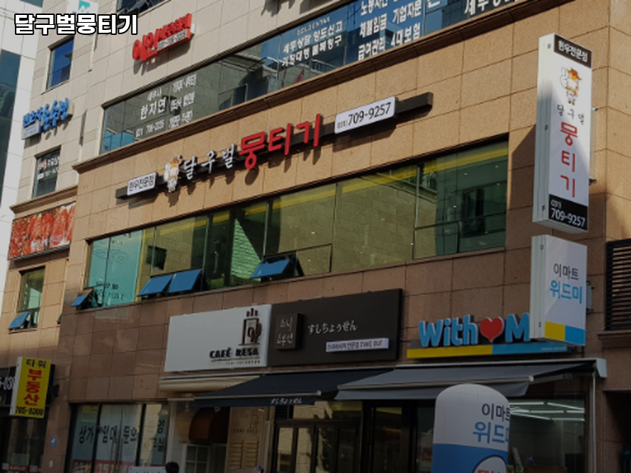 달구벌뭉티기 대표 사진