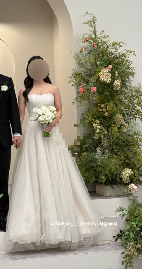 촬영 사진, 아치 조화 배경