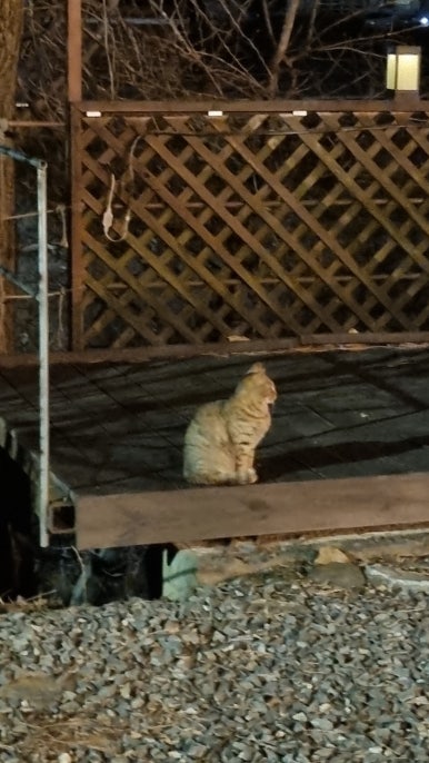 꽃들의물감찾기펜션 이미지