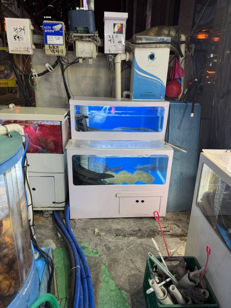 꼼박사 건대자양본점 사진 2