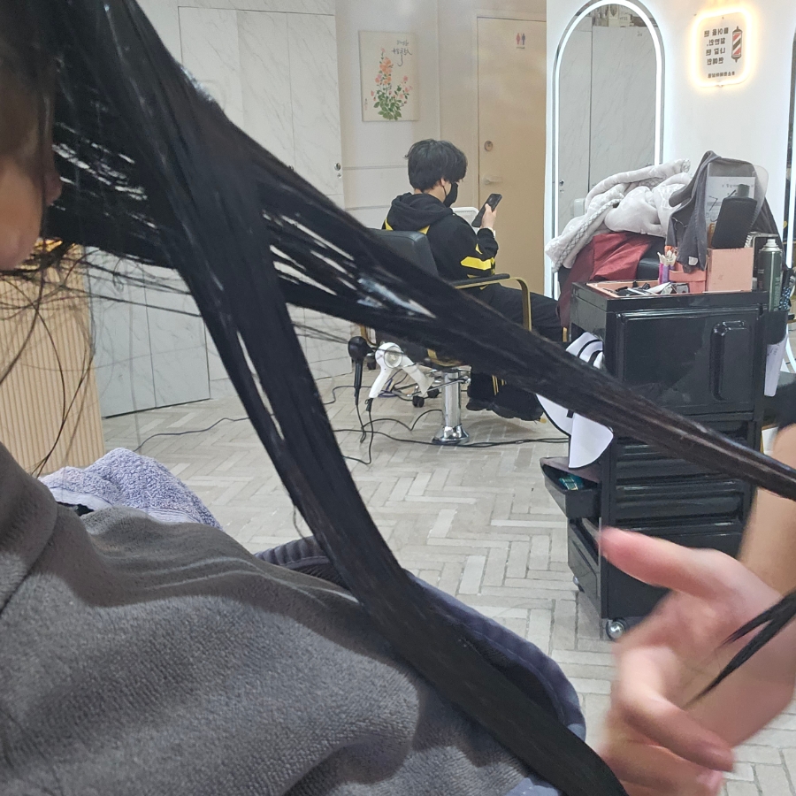 부평 딥레이어클리닉: 강아지 모발 손상 개선 후기 — 사진 18