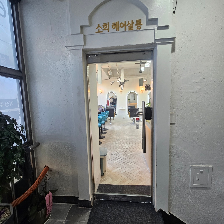 부평 딥레이어클리닉: 강아지 모발 손상 개선 후기 — 사진 5