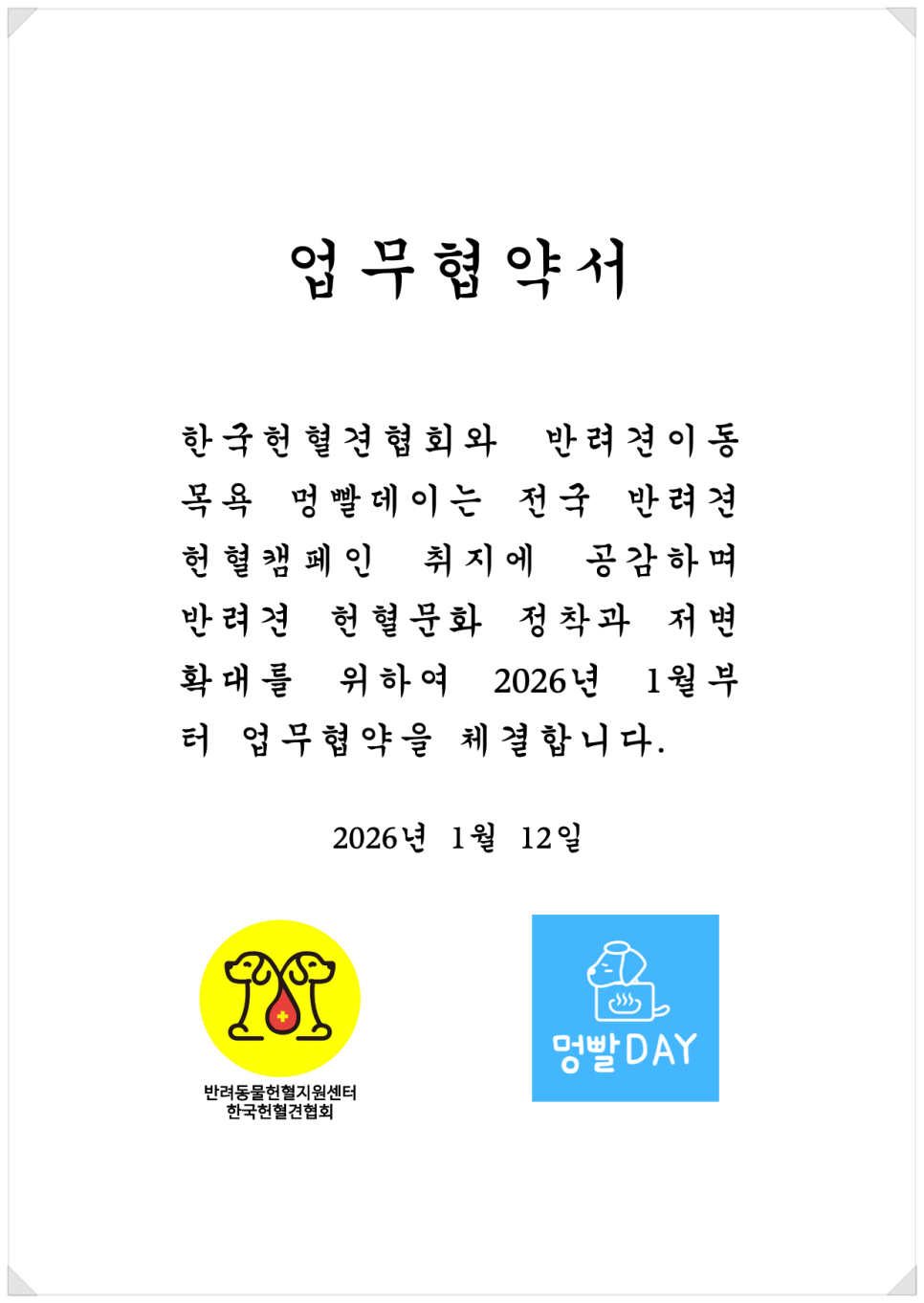 대형견 출장 미용 & 목욕, 멍빨DAY로 스트레스 없이! — 사진 17