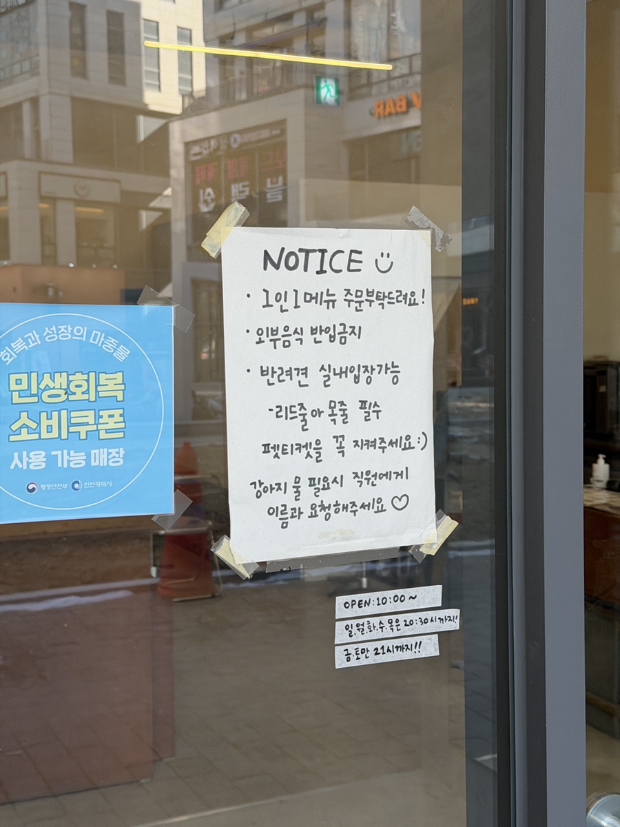 인천 송도 애견동반 카페 샬로우커피, 강아지와 함께 방문 후기 — 사진 4