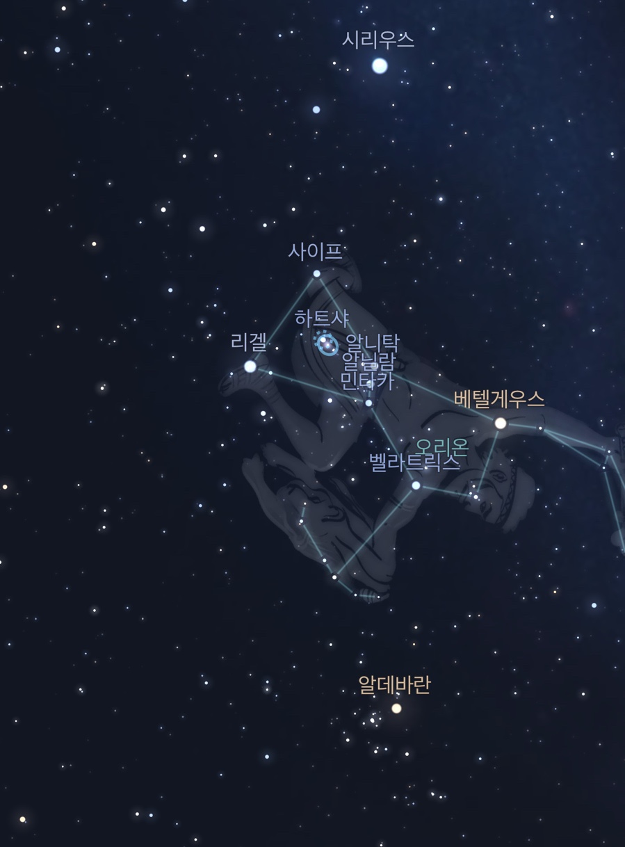 브리즈번 혼자 여행, 무게라 호수 은하수 별 투어 완벽 가이드 — 사진 4