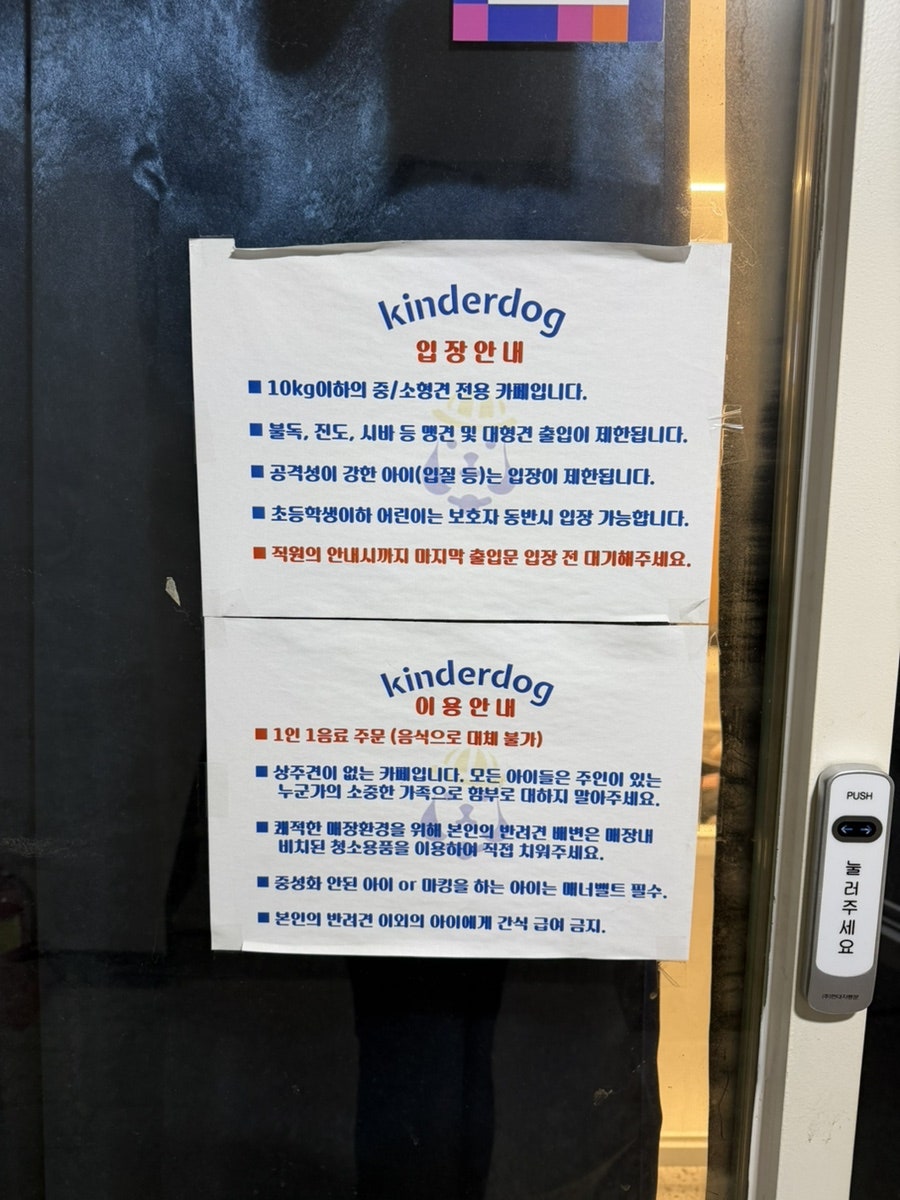 송파 잠실 실내 애견카페 킨더독, 강아지 유치원 비용 및 이용 후기 — 사진 5