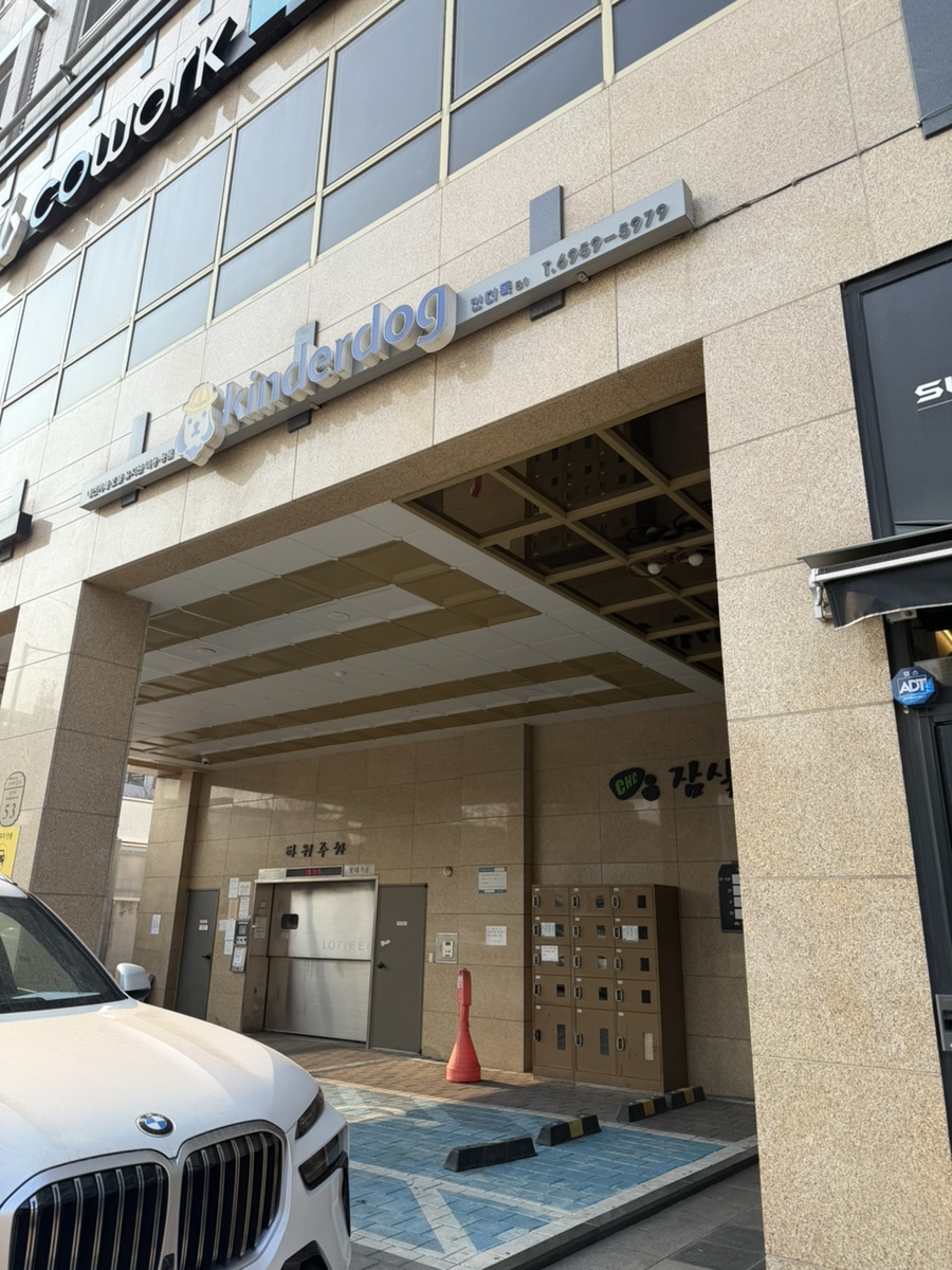 송파 잠실 실내 애견카페 킨더독, 강아지 유치원 비용 및 이용 후기 — 사진 3
