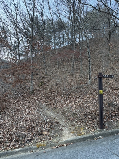 국립황정산자연휴양림 이미지