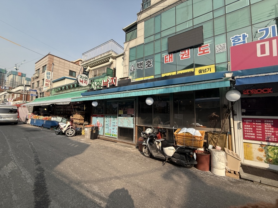 자연낙지 사진 8