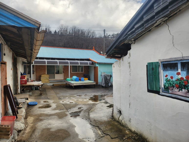 훈할머니묵집 이미지