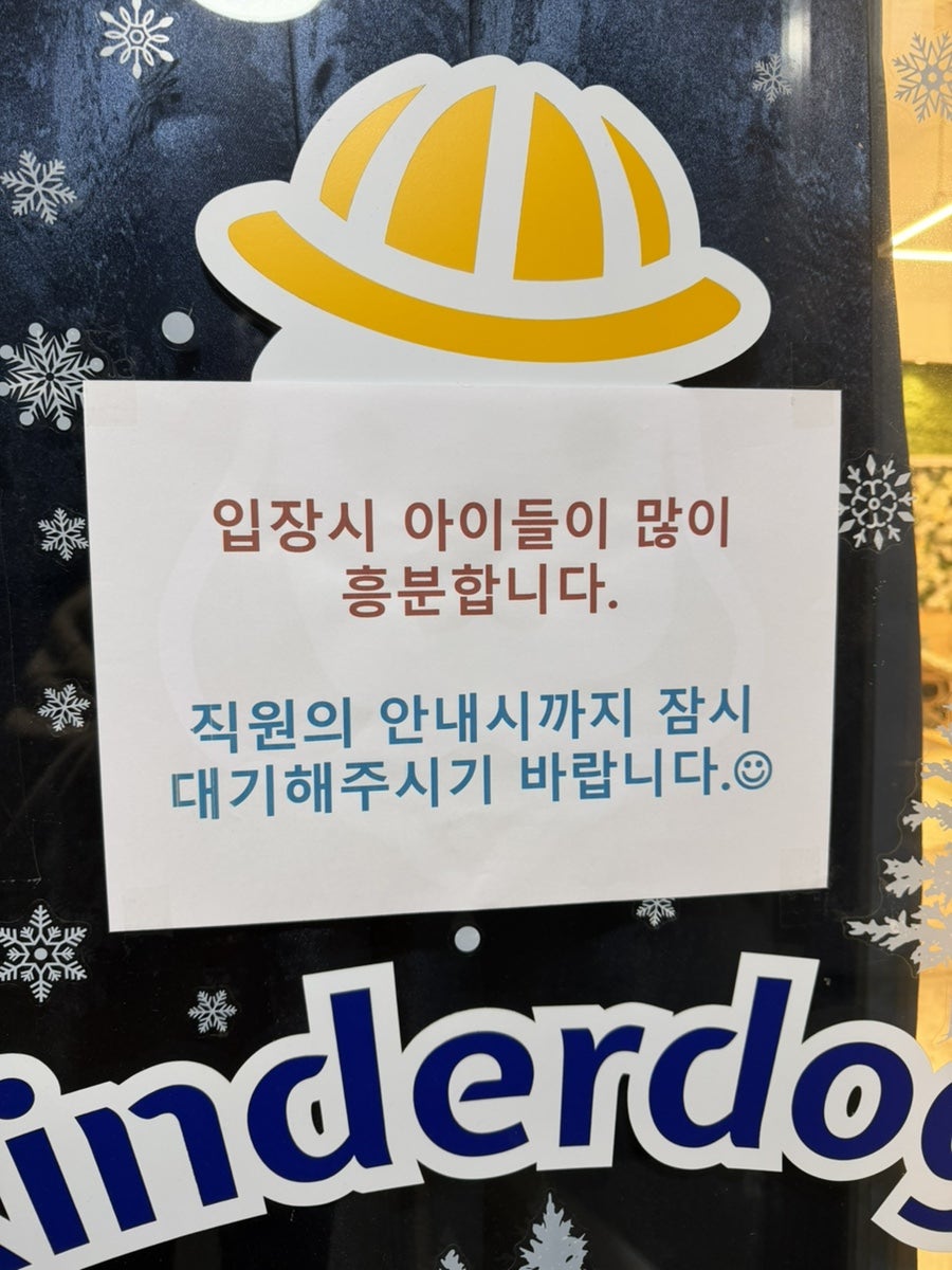 송파 잠실 실내 애견카페 킨더독, 강아지 유치원 비용 및 이용 후기 — 사진 6