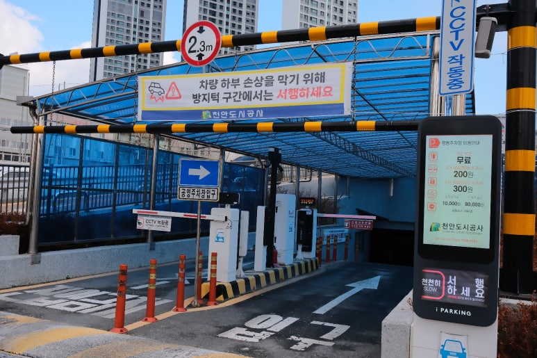 하노이베트남쌀국수 사진