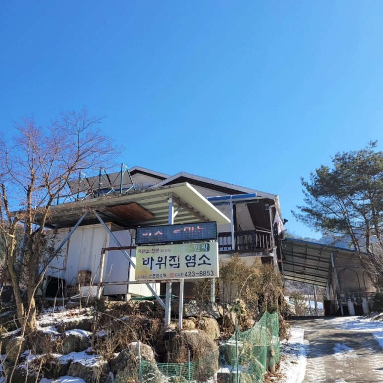 바위집염소 이미지