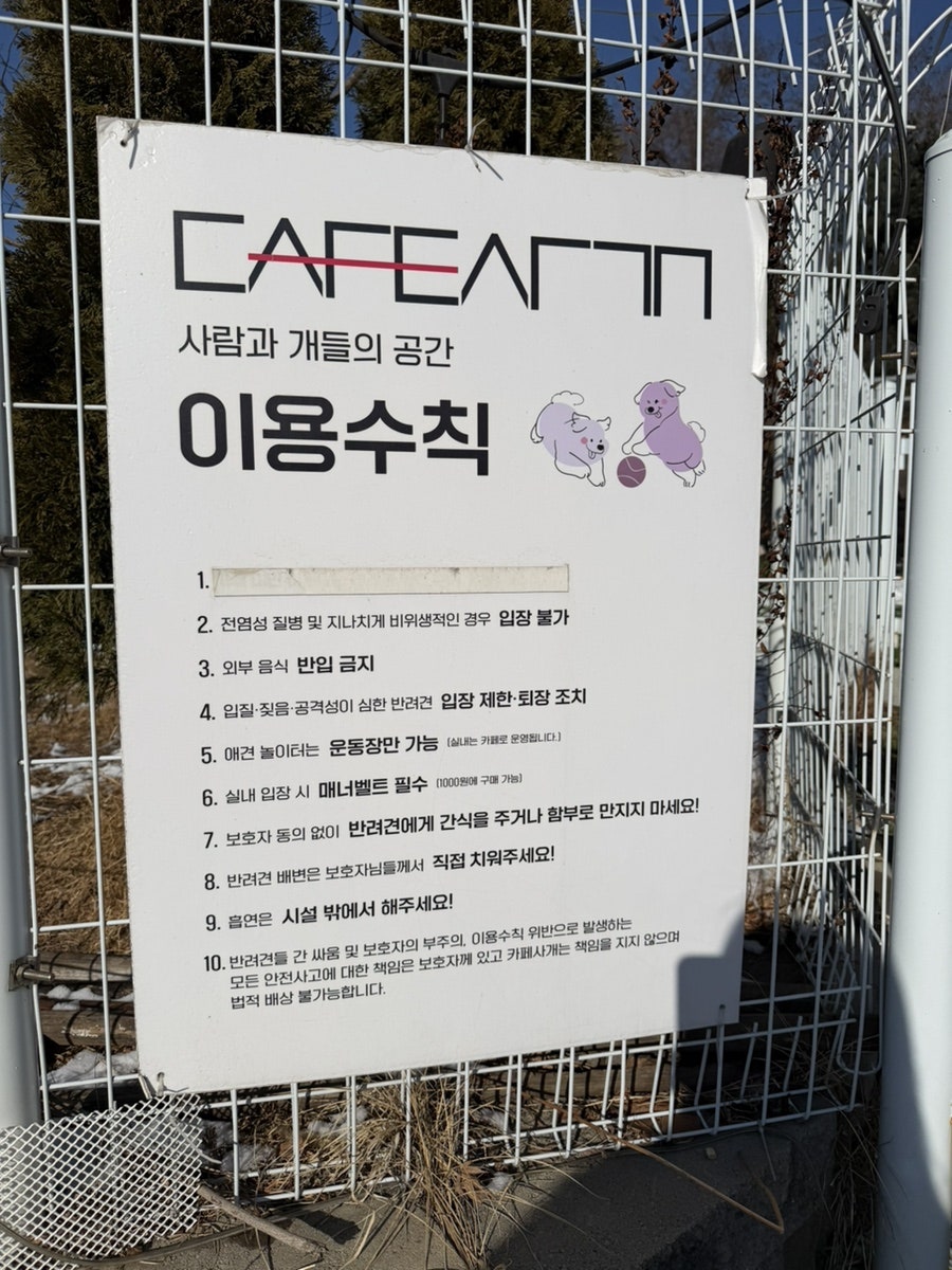 화성 동탄 애견카페 '카페사개' 강아지 운동장 이용 후기 — 사진 4