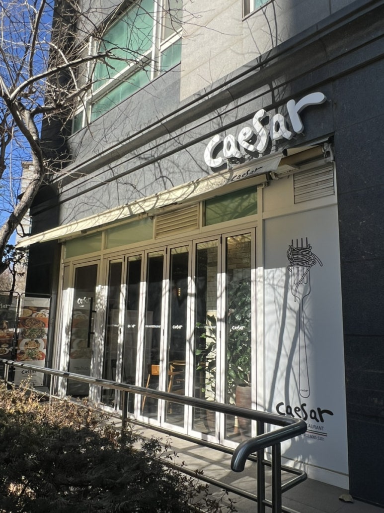 시저 사진 3