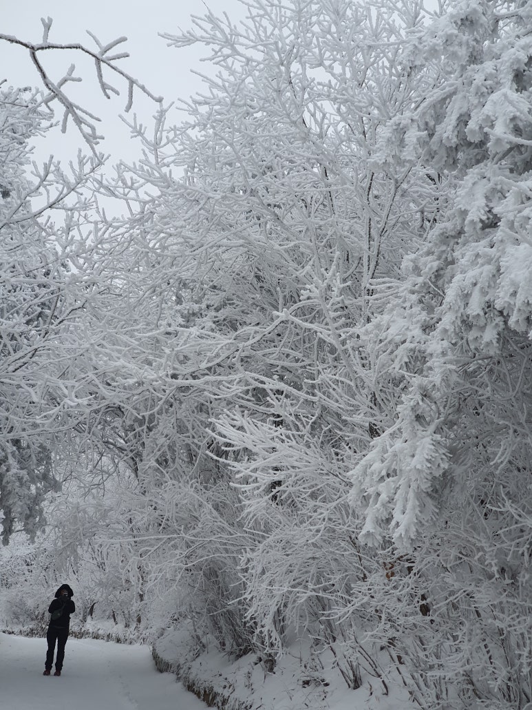 소백산천문대 이미지