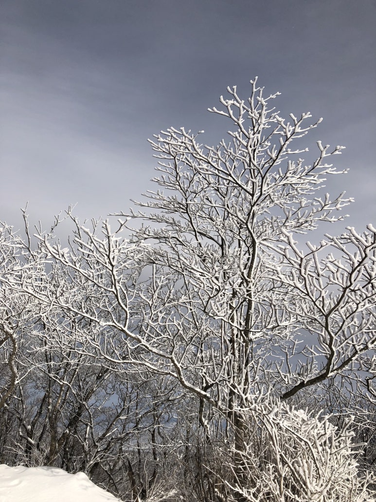 소백산천문대 이미지