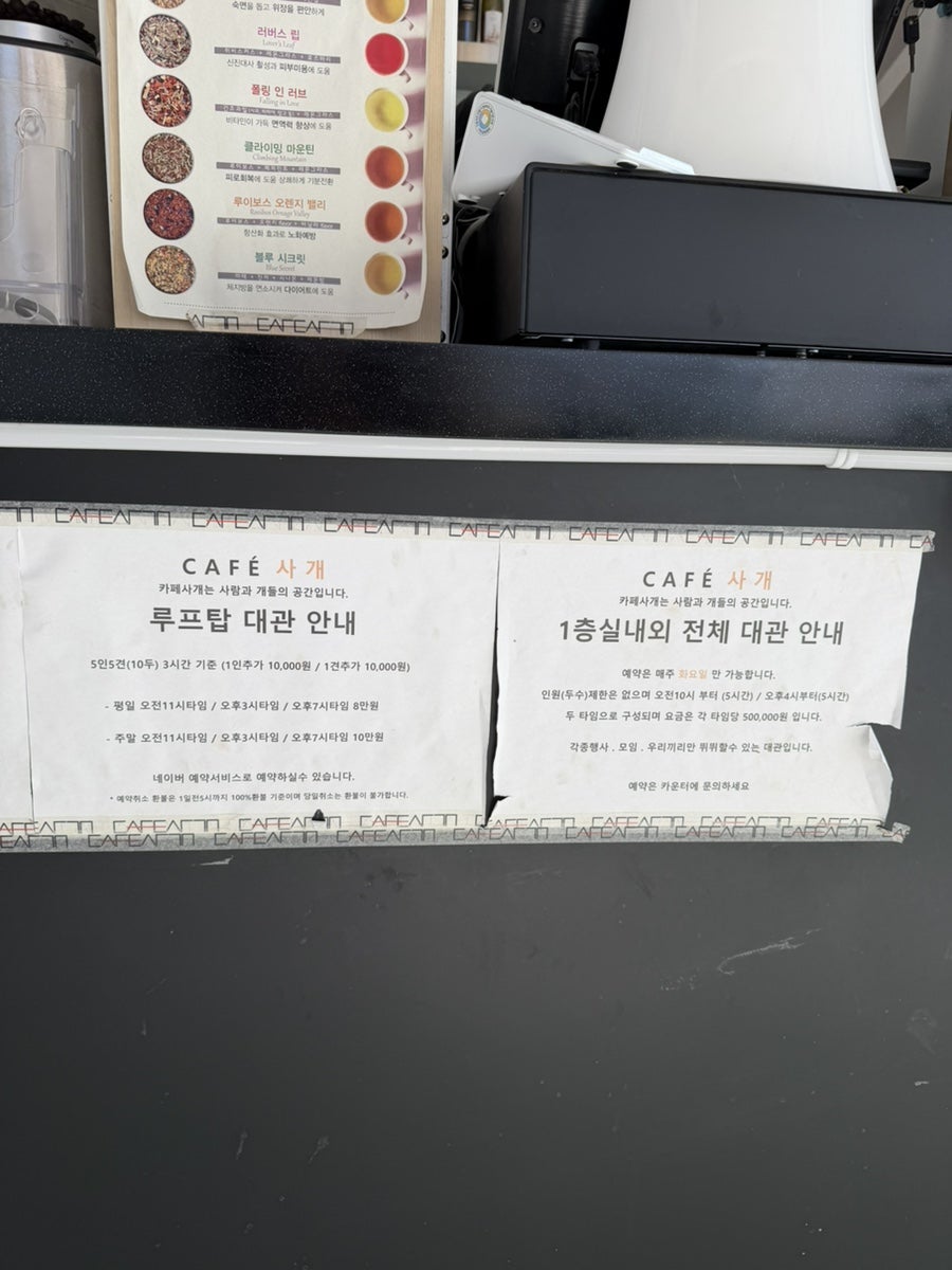 화성 동탄 애견카페 '카페사개' 강아지 운동장 이용 후기 — 사진 20