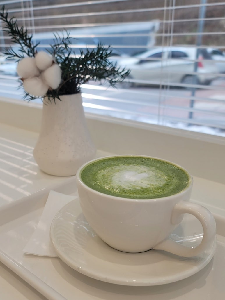 오아시스 이미지