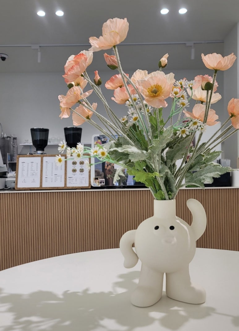 오아시스 이미지