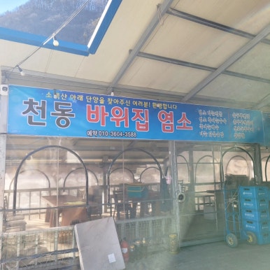 바위집염소 이미지