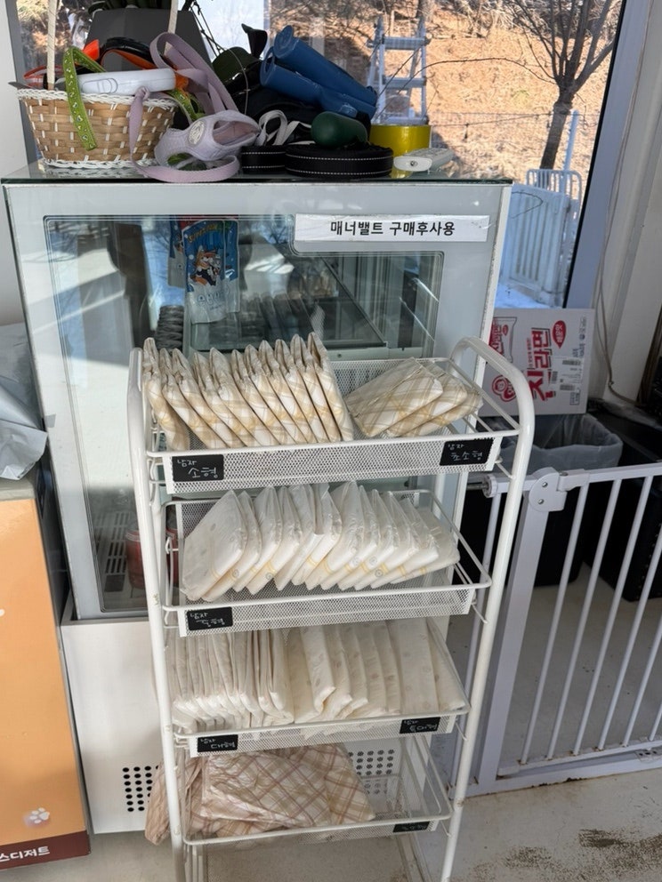 화성 동탄 애견카페 '카페사개' 강아지 운동장 이용 후기 — 사진 16