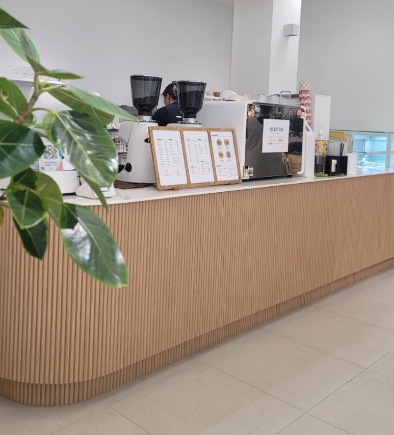 오아시스 이미지