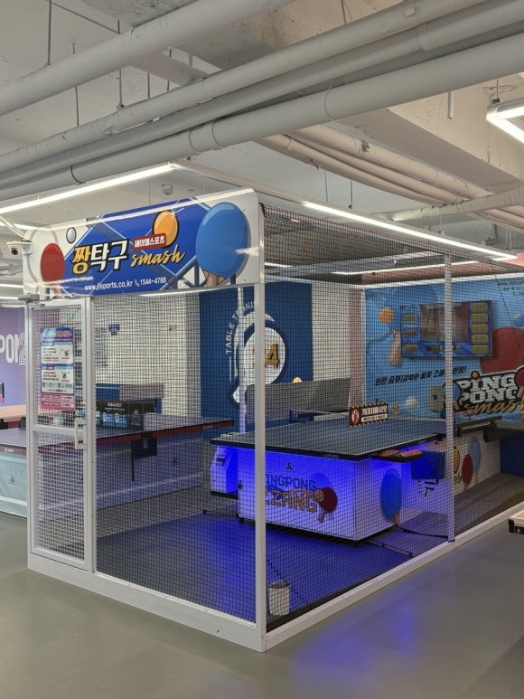 분당 서현 놀거리 아이랑 가기 좋은 실내 탁구장 짱탁구장