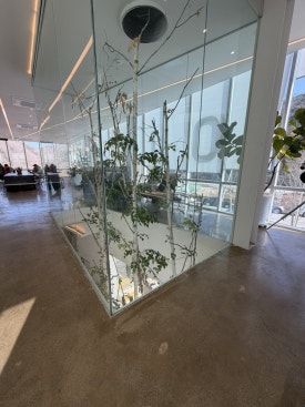 카페오무아무아 이미지