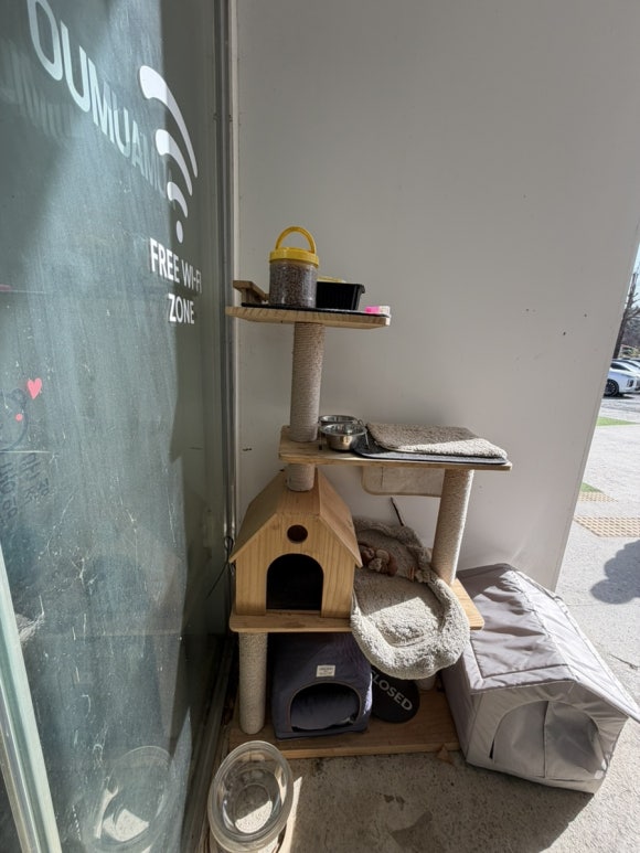 카페오무아무아 이미지