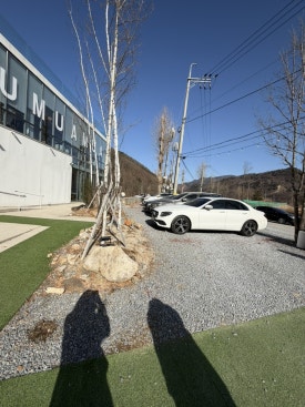 카페오무아무아 이미지