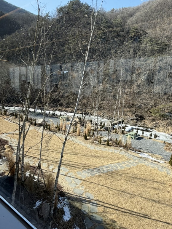 카페오무아무아 이미지